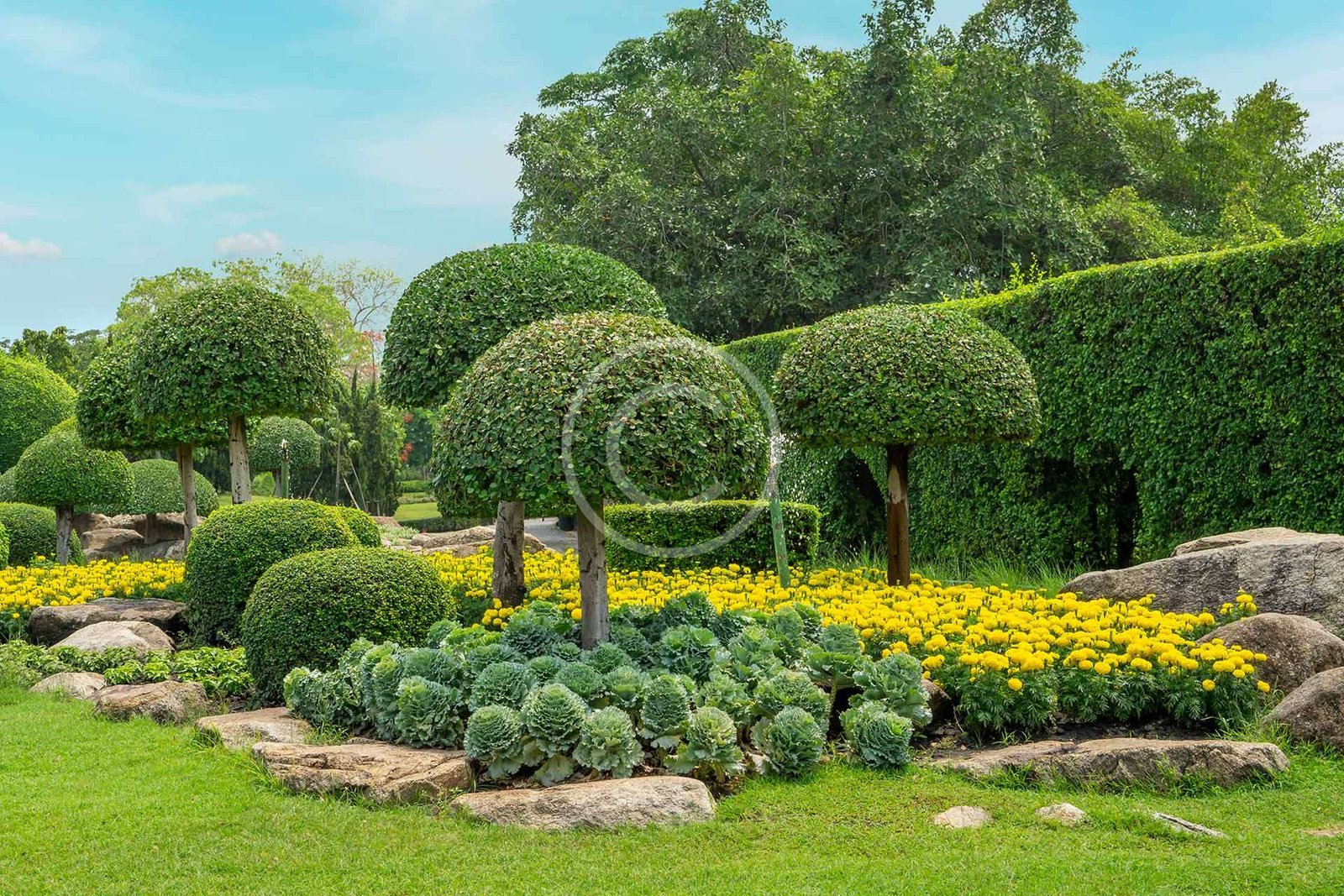 Installation de paillis